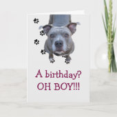 Pitbull Table Scraps Verjaardag Kaart (Voorkant)