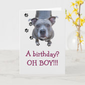 Pitbull Table Scraps Verjaardag Kaart (Gele Bloem)