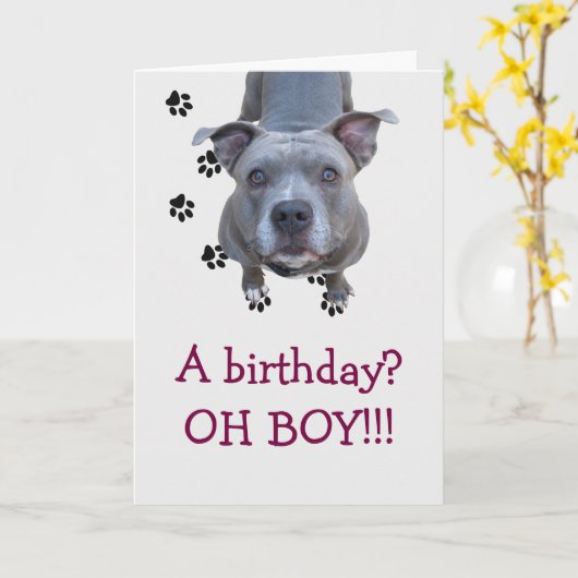 Pitbull Table Scraps Verjaardag Kaart (Gele Bloem)