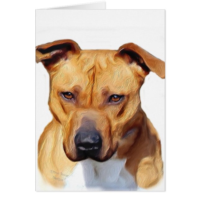 Pitbull Terrier (Voorkant)