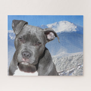 Pitbull Terrier. Legpuzzel
