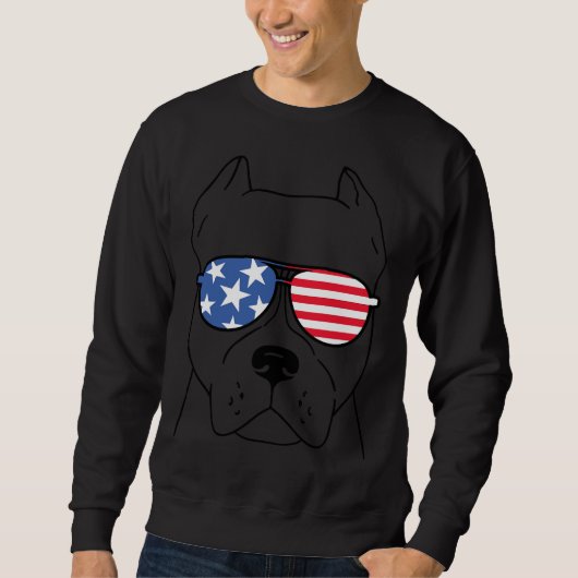 Pitbull US-bril Trui (Voorkant)