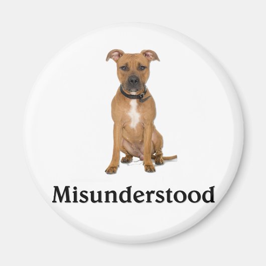 Pitbull - verkeerd begrepen magneet (Voorkant)