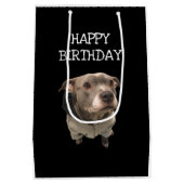 Pitbull Wearing Hoodie Gift Bag Medium Cadeauzakje (Achterkant)