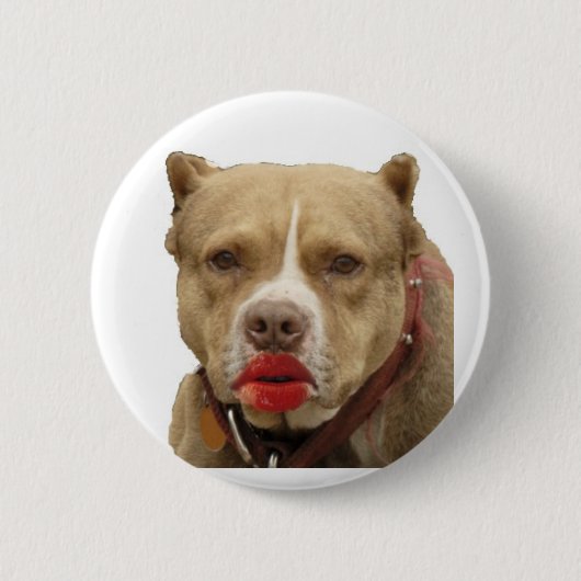 Pitbull Wearing Lipstick Button (Voorkant)