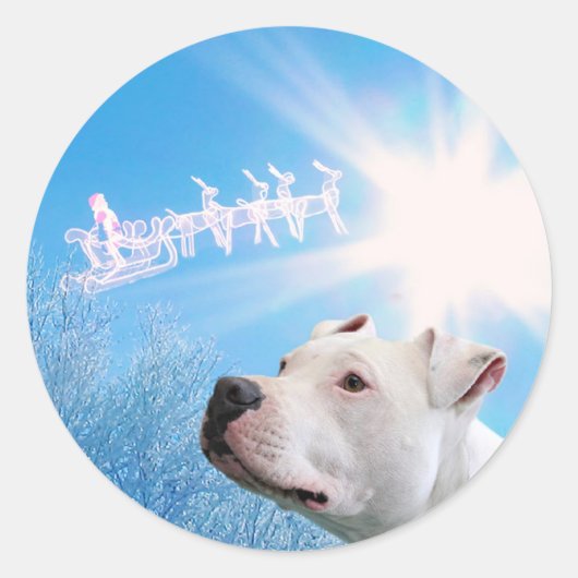 PItbull Witte Hond Kerstwens Ronde Sticker (Voorkant)