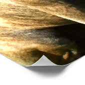 Pitbullcanvasafdruk Poster (Hoek)