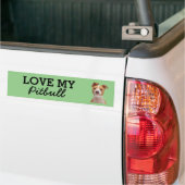 Pitbullebumsticker Bumpersticker (Op Truck)
