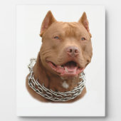 Pitbullehond Fotoplaat (Voorkant)