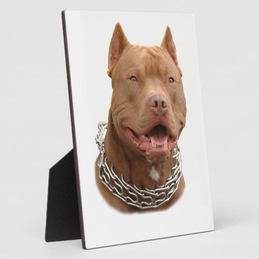 Pitbullehond Fotoplaat (Zijkant)