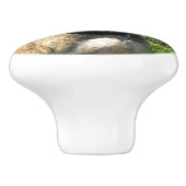 Pitbullehond Keramische Knop (Zijkant)