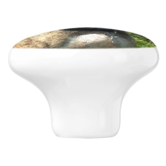 Pitbullehond Keramische Knop (Zijkant)