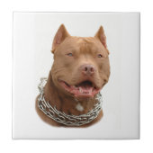 Pitbullehond Tegeltje (Voorkant)