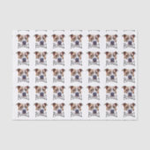 Pitbullehond Tissuepapier (Voorkant)