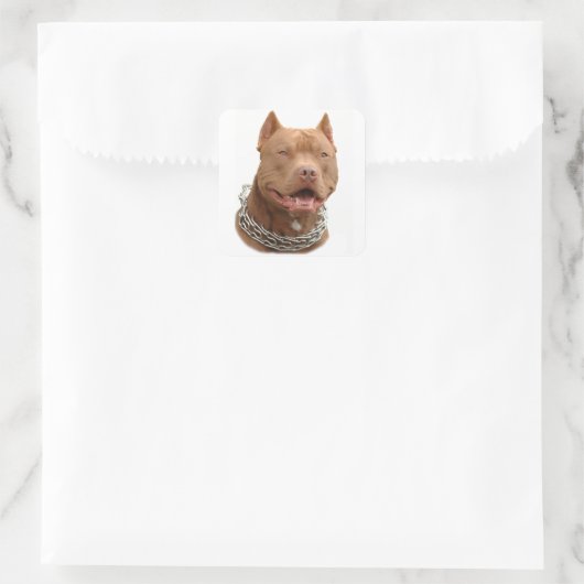 Pitbullehond Vierkante Sticker (Tas)