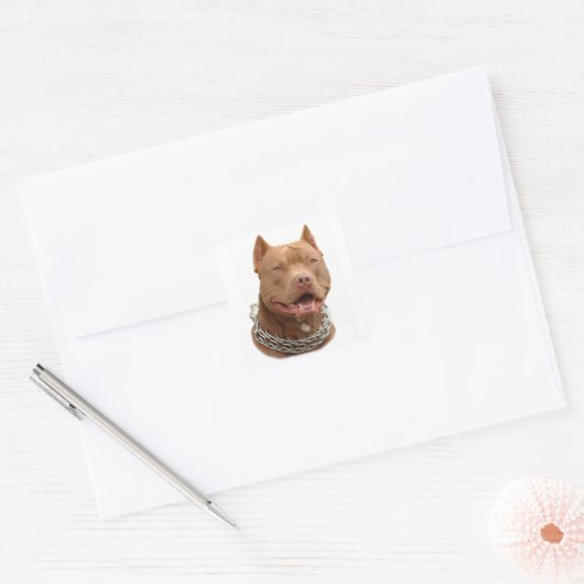 Pitbullehond Vierkante Sticker (Envelop)