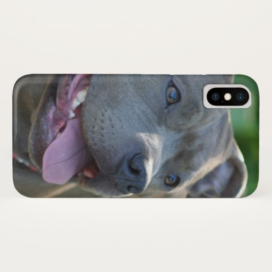 Pitbullehond x hoesje (Achterkant (horizontaal))