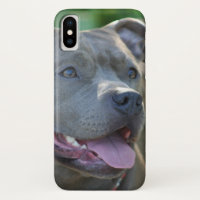 Pitbullehond x hoesje