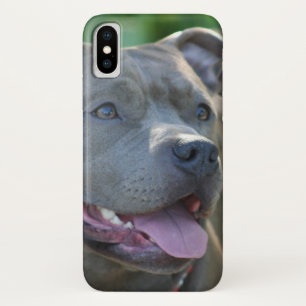 Pitbullehond x hoesje