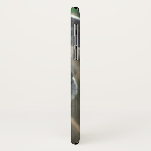 Pitbullehond x hoesje (Achterkant/links)