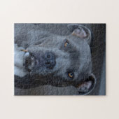 Pitbullepuzzel Legpuzzel (Horizontaal)