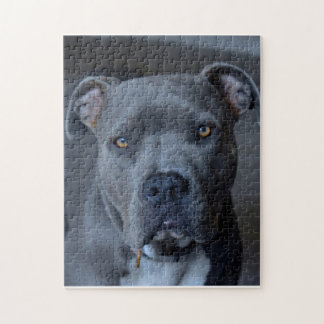 Pitbullepuzzel Legpuzzel