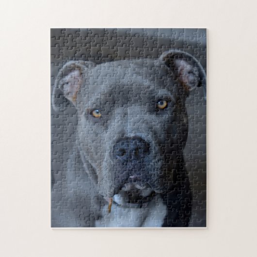 Pitbullepuzzel Legpuzzel (Verticaal)