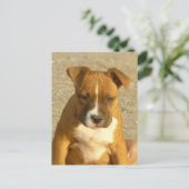 Pitbullpuppy briefkaart (Staand voorkant)
