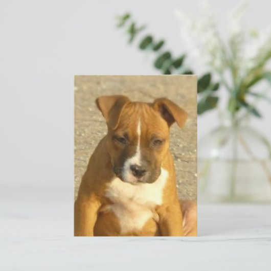 Pitbullpuppy briefkaart (Staand voorkant)