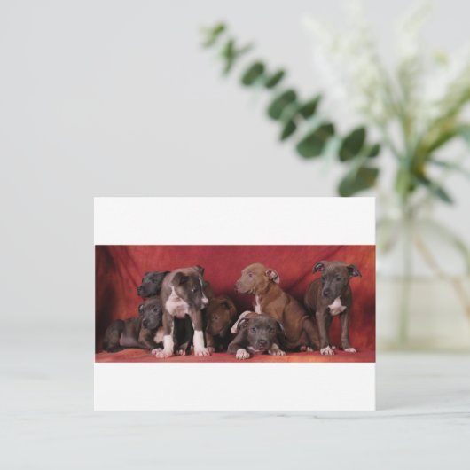 Pitbullpuppy Briefkaart (Staand voorkant)