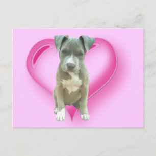 Pitbullpuppy briefkaart