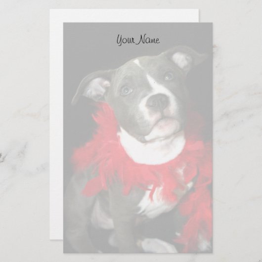 Pitbullpuppy briefpapier (Voorkant / Achterkant)