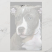 Pitbullpuppy briefpapier (Voorkant)