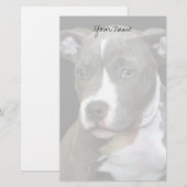Pitbullpuppy briefpapier (Voorkant / Achterkant)