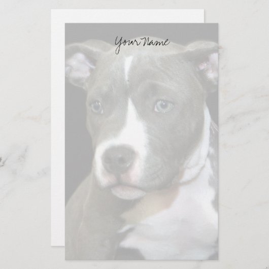 Pitbullpuppy briefpapier (Voorkant / Achterkant)