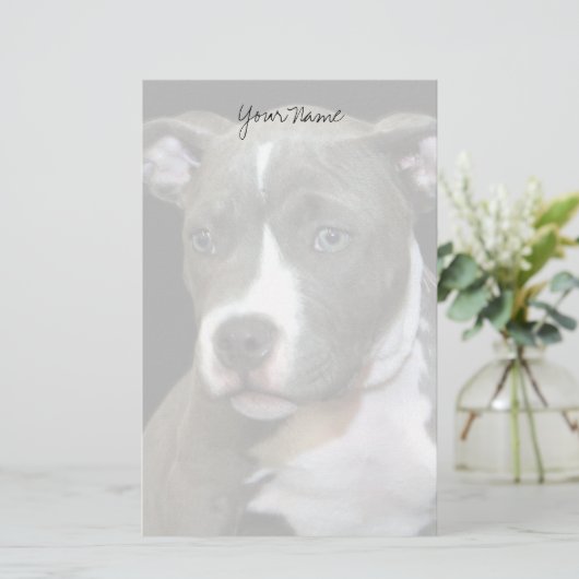 Pitbullpuppy briefpapier (Staand voorkant)