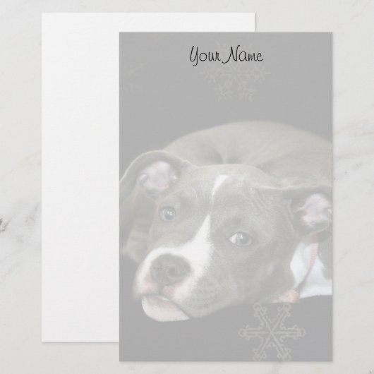 Pitbullpuppy briefpapier (Voorkant / Achterkant)