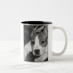 Pitbullpuppy mok