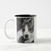 Pitbullpuppy mok (Links)
