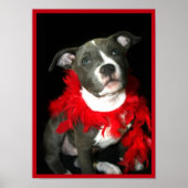 Pitbullpuppy poster (Voorkant)