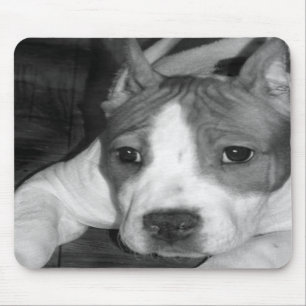 Pitbullpuppymousepad Muismat