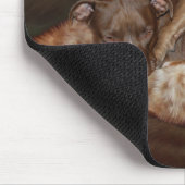 Pitbulls - de Zachte Zijdekant Mousepad Muismat (Hoek)