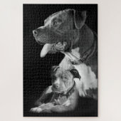 Pitbulls Legpuzzel (Verticaal)