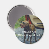 Pitbulls-regel Magneet (Voorkant / Achterkant)