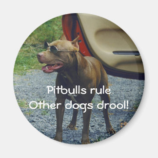 Pitbulls-regel Magneet