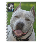 @PitBullSharky Notebook! Happy Pit Bull Smile Face Notitieboek (Voorkant)