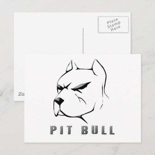 Pitbulltekening Briefkaart (Voorkant / Achterkant)