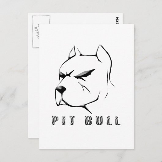 Pitbulltekening Briefkaart (Voorkant / Achterkant)
