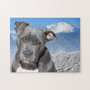 Pitbullterriër. Legpuzzel