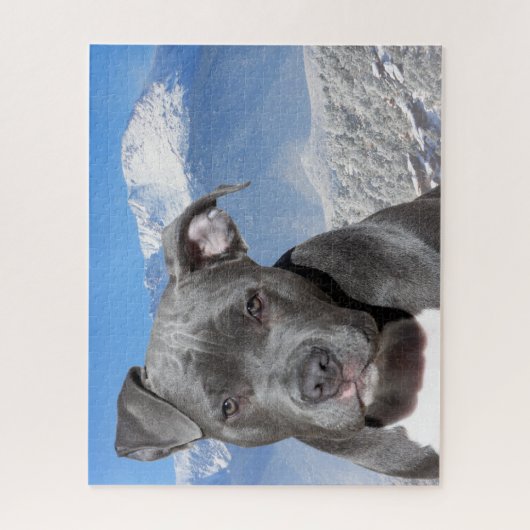 Pitbullterriër. Legpuzzel (Verticaal)